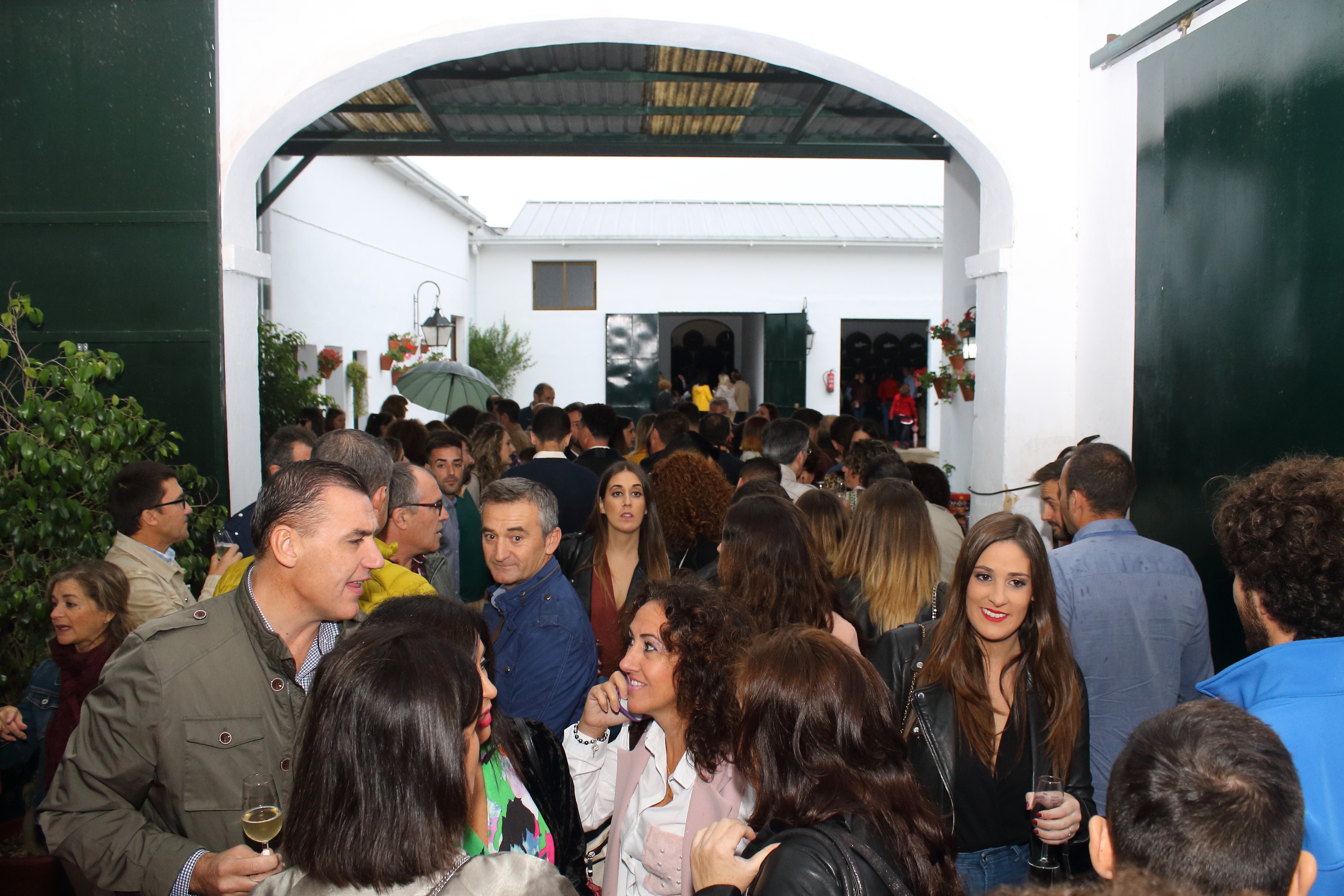 BOLLULLOS VOLVIÓ A SER EL EPICENTRO VITIVINÍCOLA DE LA PROVINCIA DE HUELVA