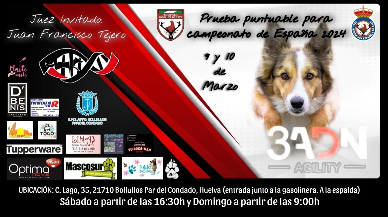 PRUEBA NACIONAL DE AGILITY EN BOLLULLOS