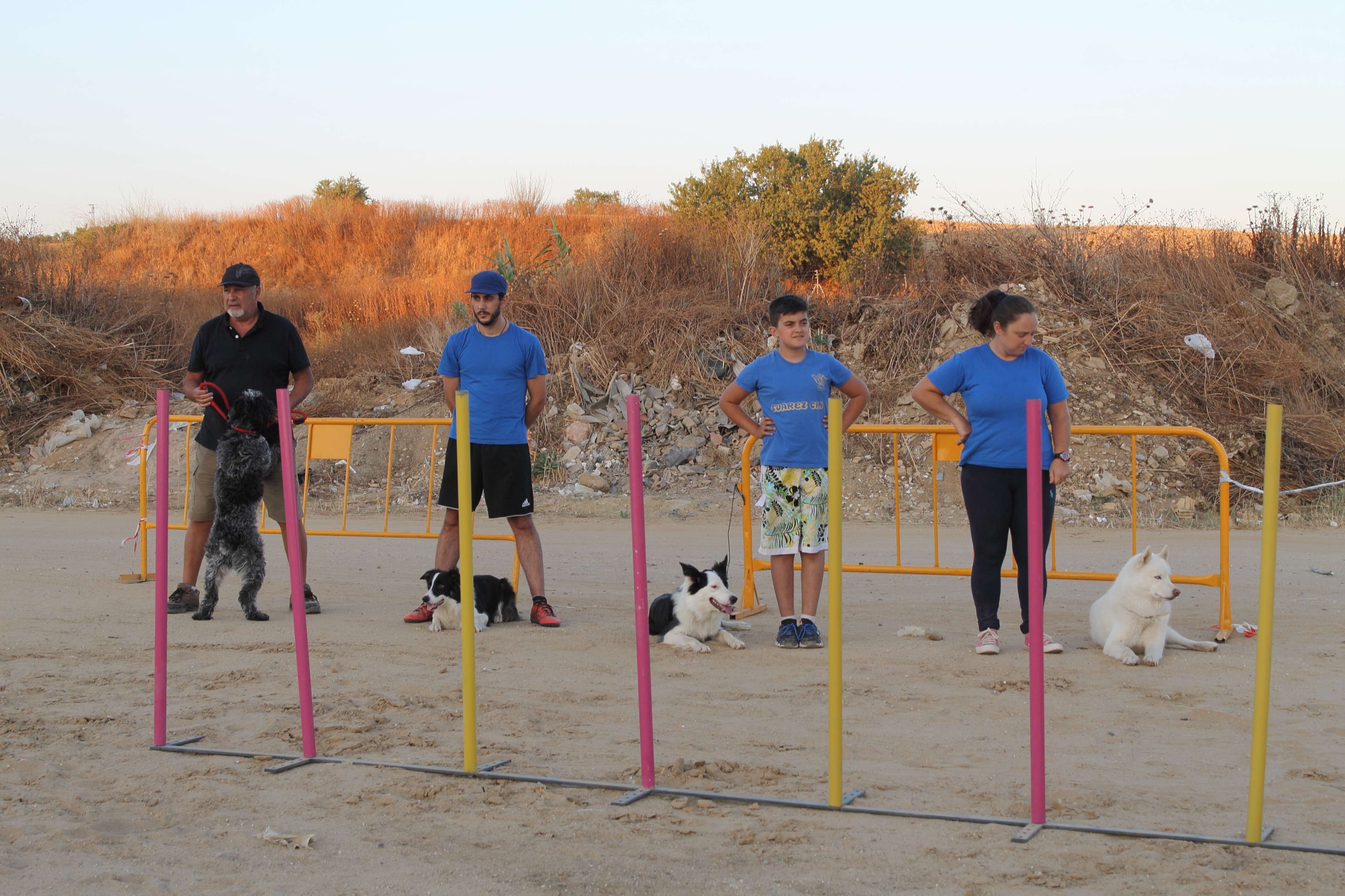 LA CONCEJALÍA DE JUVENTUD DE BOLLULLOS ORGANINZA LA I EXHIBICIÓN CANINA LOCAL