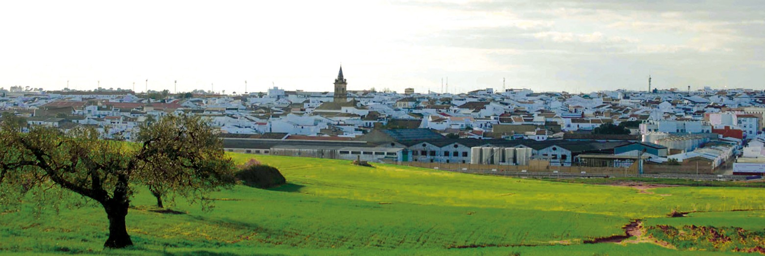 Paisaje Bollullos Paisaje Bollullos