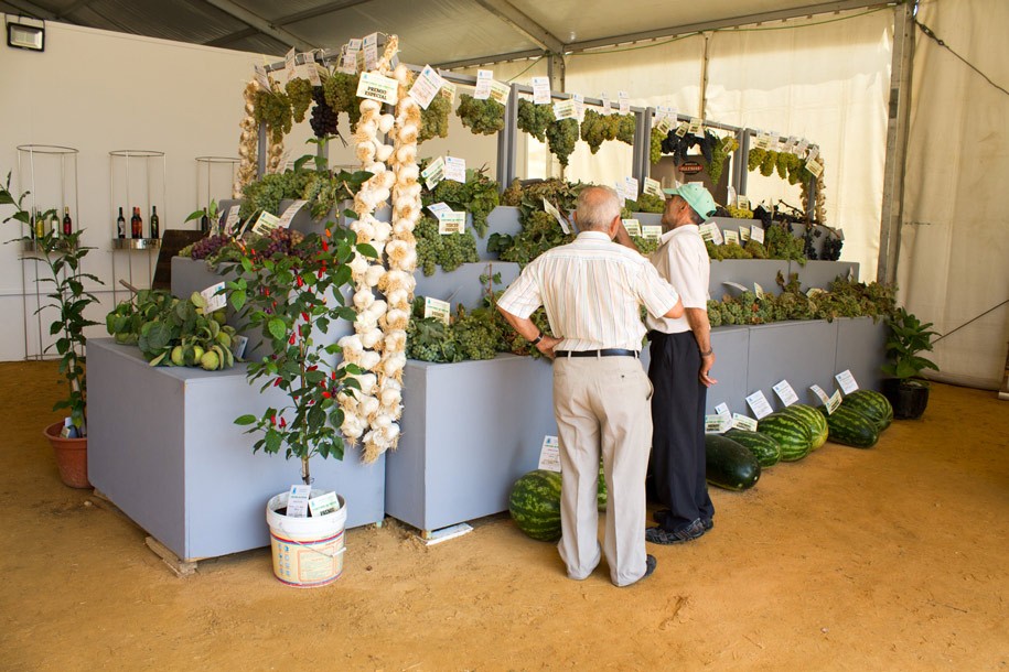 LXX CONCURSO COMARCAL DE FRUTOS - FERIA 2018