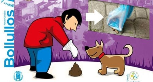 LA CONCEJALÍA DE MEDIO AMBIENTE EMPRENDE UNA CAMPAÑA DE LIMPIEZA VIARIA