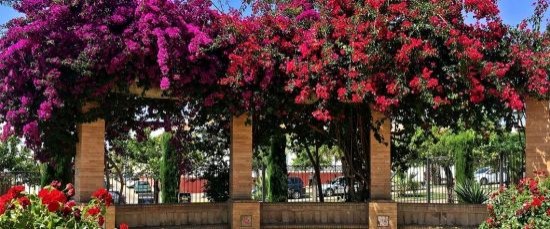 VISITA DEL JURADO DE ‘ANDALUCÍA EN FLOR’ VISITA EL MUNICIPIO