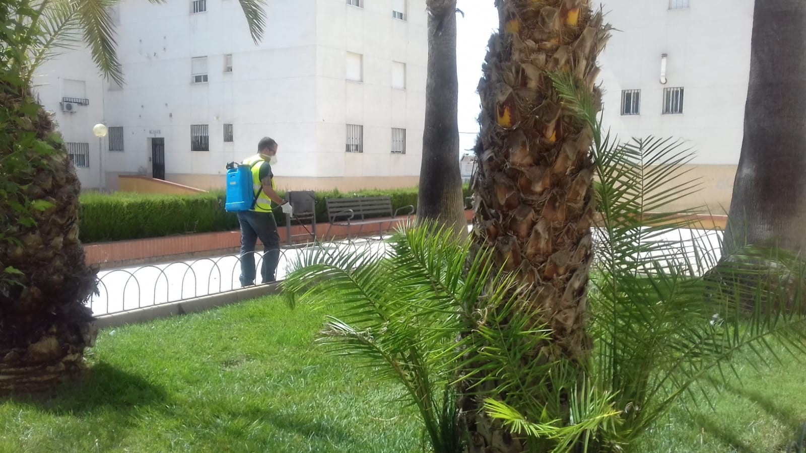 FIN DE LA CAMPAÑA DE FUMIGACIÓN EN EL MUNICIPIO DE BOLLULLOS