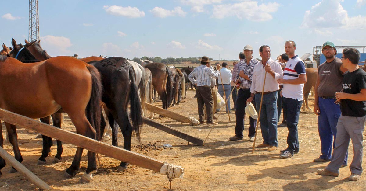 Bollullos celebra este fin de semana su II Feria Ganadera 2015