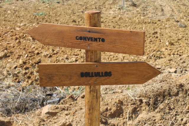 BOLLULLOS, COMPROMETIDO CON EL TURISMO SOSTENIBLE Y AMBIENTAL