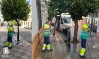 REFUERZO DE ACTUACIONES LIMPIEZA EN ESPACIOS PÚBLICOS