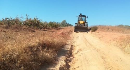 VALORACIÓN POSITIVA DEL II PLAN DE ARREGLOS DE CAMINOS Y SEMILLOS 2020