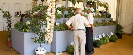 LXX CONCURSO COMARCAL DE FRUTOS - FERIA 2018