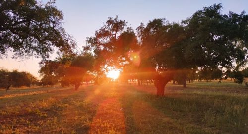 CELEBRACIÓN DEL DÍA MUNDIAL DEL MEDIO AMBIENTE CON LA HISTORIA DEL PARQUE NATURAL DE SAN SEBASTIÁN