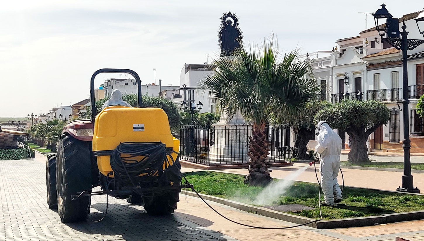 FUMIGACIÓN ESPECIAL CONTRA LA PLAGA DE MOSQUITOS