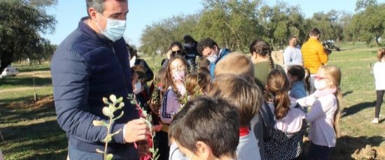 SE PLANTAN 260 NUEVOS ALCORNOQUES PARA SU REFORESTACIÓN .