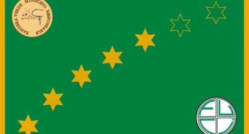 BANDERA VERDE 