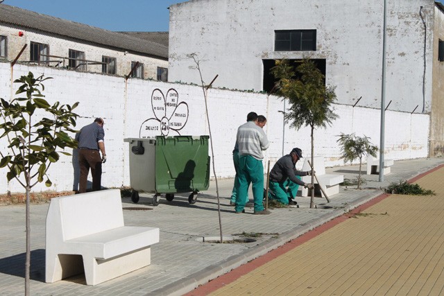 EL AYUNTAMIENTO INICIA UNA CAMPAÑA DE REPLANTACIÓN EN PARQUES Y JARDINES