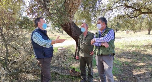 UN PASO ADELANTE EN LA LUCHA CONTRA “LA SECA” EN EL PARQUE NATURAL DE SAN SEBASTIÁN