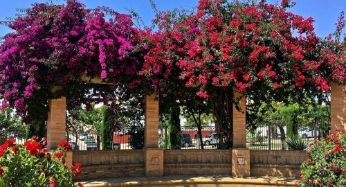 VISITA DEL JURADO DE ‘ANDALUCÍA EN FLOR’ VISITA EL MUNICIPIO