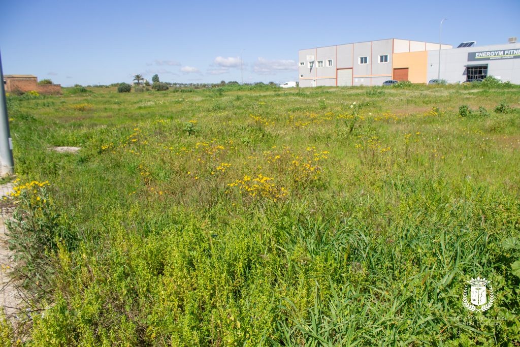 SALE A LA VENTA UNA NUEVA FASE DE 2.500 m² DE SUELO INDUSTRIAL EN EL P.I. EL LIRIO