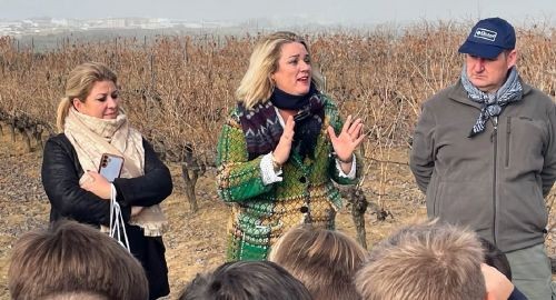 EL AYUNTAMIENTO IMPULSA LA EDUCACIÓN VITIVINÍCOLA ENTRE LOS ESCOLARES DE BOLLULLOS