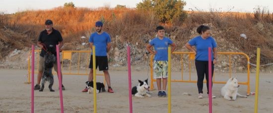 LA CONCEJALÍA DE JUVENTUD DE BOLLULLOS ORGANINZA LA I EXHIBICIÓN CANINA LOCAL