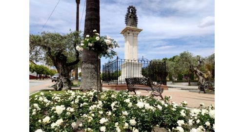 FLORECEN LOS 1.200 ROSALES PLANTADOS ESTE OTOÑO