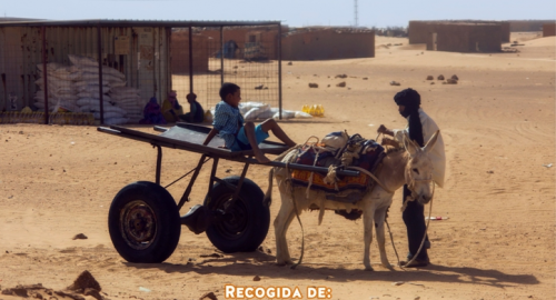 Caravana por la Paz. Recogida de alimentos para los Refugiados Saharauis