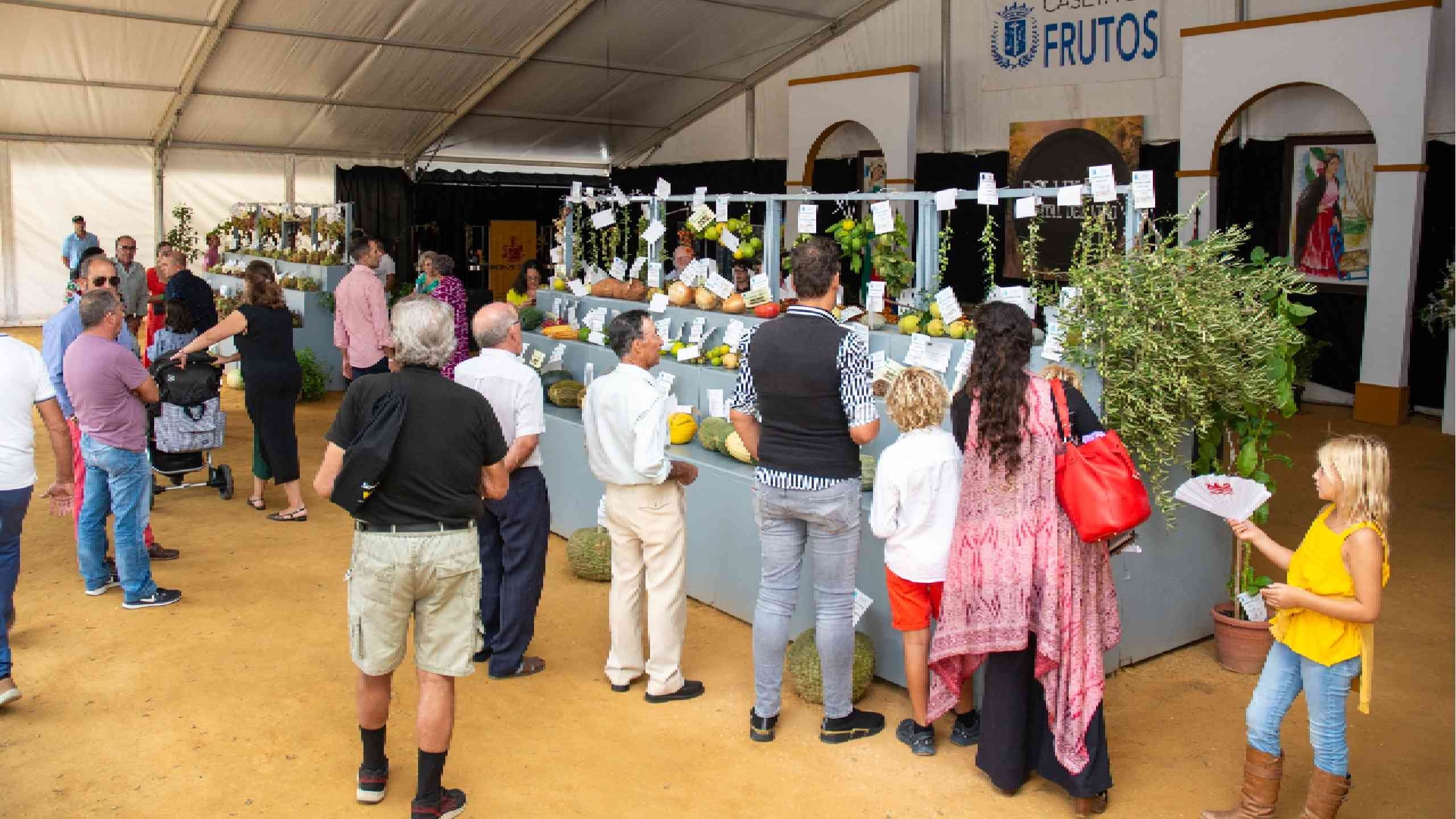 LA CASETA DE FRUTOS ACOGIÓ MAS DE 100 VARIEDADES EN EL LXXIII CONCURSO COMARCAL