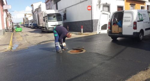 TAREAS DE CONTROL DE DESINFECCIÓN, DESRATIZACIÓN Y CONTROL DE PLAGAS