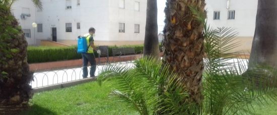 FIN DE LA CAMPAÑA DE FUMIGACIÓN EN EL MUNICIPIO DE BOLLULLOS